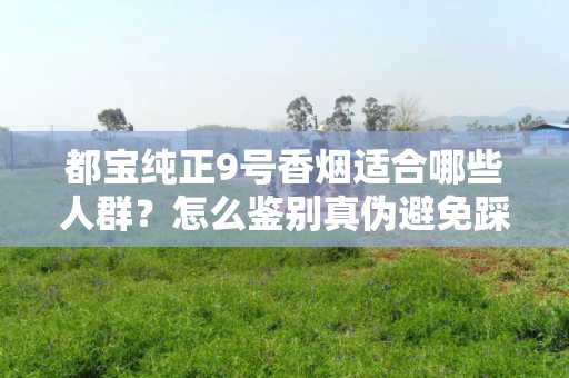 都宝纯正9号香烟适合哪些人群？怎么鉴别真伪避免踩坑？